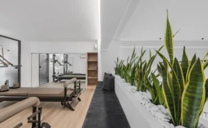 physiotherapy clinic anndesign 1