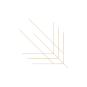 anndesign symbol 6